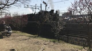 蒸気機関車が豊富な博物館