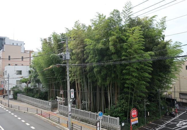 不知八幡森 八幡の藪知らず クチコミ アクセス 営業時間 市川 フォートラベル