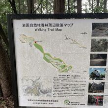 岩国城山自然休養林遊歩道 