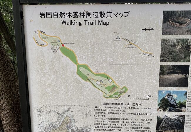 岩国城山自然休養林遊歩道 