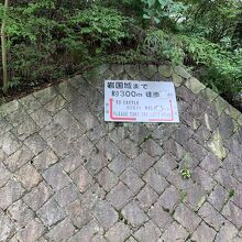 岩国城までの看板