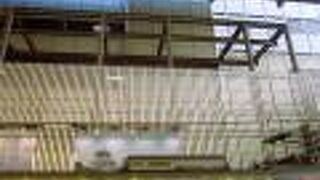 朝は避けた方が無難です