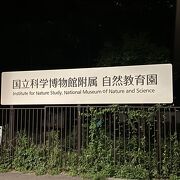 国立科学博物館附属自然教育園♪