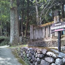 トレッキングコース