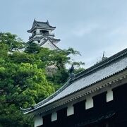 現存天守１２城の一つ　高知城