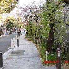 歩道が広くて歩き易い