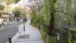 長くてびっくり