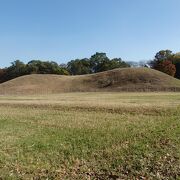 忍城・行田散策でさきたま古墳公園にある奥の山古墳に行きました