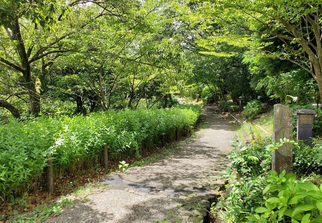 帷子川親水緑道