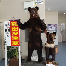 道の駅みなみ富良野