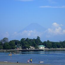 富士山が見れました