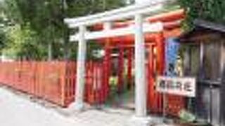 出雲大社のすぐ近くなのに…。