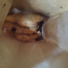 かめ福のたい焼き