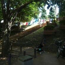 さくら坂公園は、滑り台等、斜面を十二分に活用した設計です。