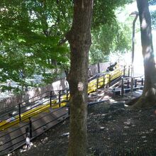 さくら坂公園の地形と遊具との節調です。子供たちの喜びの場です