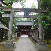 緑豊かで厳かな雰囲気の神社