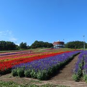 網走レークビュースキー場の頂上