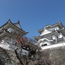 とてもきれいでした