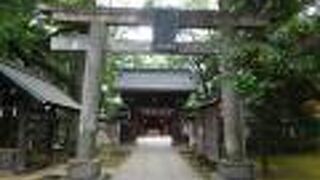 緑豊かで厳かな雰囲気の神社