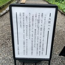 ハスの解説