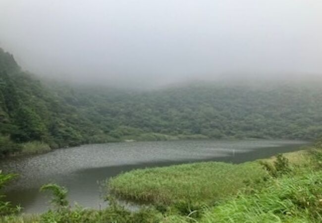 箱根の穴場かも