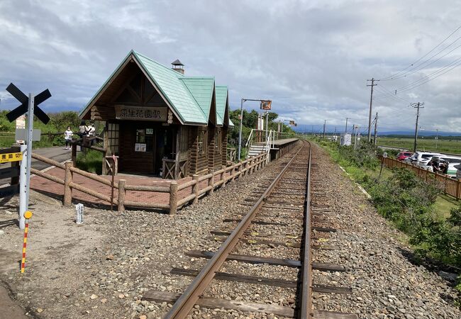 原生花園のまん真ん中にある駅