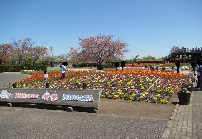 新潟ふるさと村GWチューリップフェスティバル