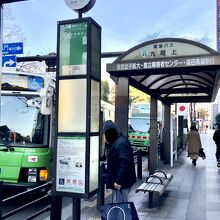 バスがいる、ラッキー！！