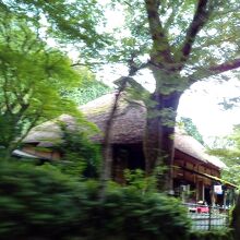 甘酒茶屋