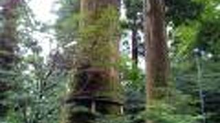 日本の歴史もわかるスポット