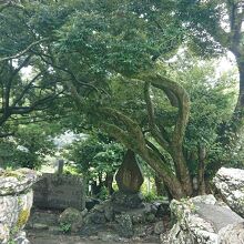 美多羅志神社