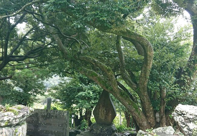 美多羅志神社