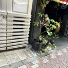 とりあえずお店の外観撮ったらこんな事に