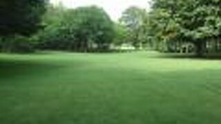 きれいに手入れされた芝生が眩しいです