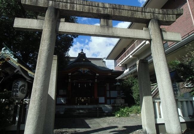 昔は海岸にあった神社は、今や国道と鉄道に挟まれています