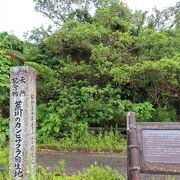 沖縄にも桜がある