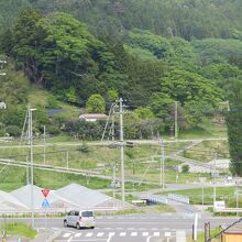 三陸駅ホームから見た三陸大王杉（画像左手）とど根性ポプラ