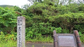 沖縄にも桜がある