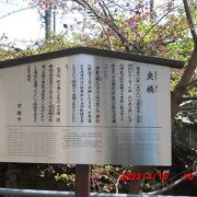 晴明神社 一の鳥居の傍に、昔の一条戻橋があります