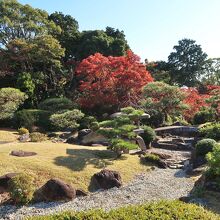 旧岡崎邸の日本庭園