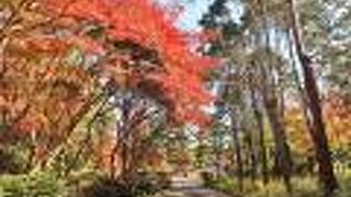 皇室の別荘跡地につくられた整形式庭園