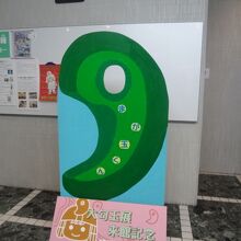 撮影可能展示品