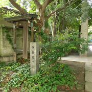 墓にお参りするもの躊躇してしまいました