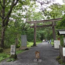 奥社入り口の鳥居。ここから2ｋｍの参道が続く。