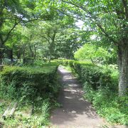 山中湖畔の細長い緑地公園です