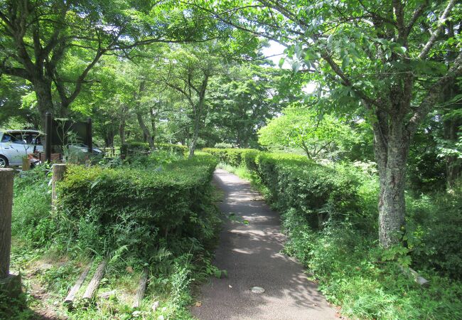 山中湖畔の細長い緑地公園です