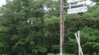 アカマツ林と共に保護されています