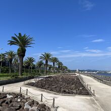 海岸の遊歩道