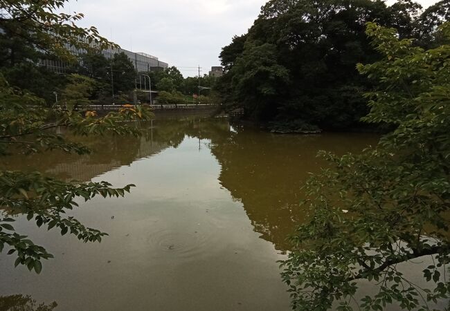 堀が広く、ゆったりとしています