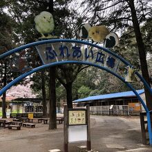 お楽しみコーナー